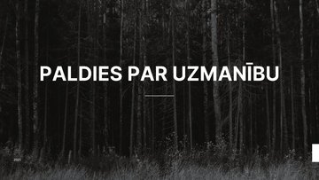 Prezentācija 'Latvijas un Igaunijas uzņēmumu konkurētspējas analīze', 12.