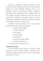 Referāts 'Nabadzības mērīšana Latvijā un salīdzināšana ar citām valstīm', 11.