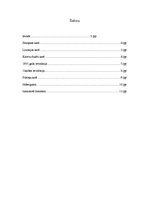 Referāts 'Krievijas vēsture', 2.