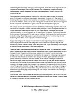 Referāts 'Analysis of Simba Dickie Group Enterprise', 5.