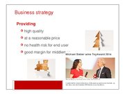 Referāts 'Analysis of Simba Dickie Group Enterprise', 17.