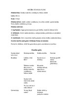 Referāts 'Mājturības stundas plāns 4.klasei', 1.