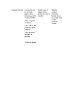 Referāts 'Mājturības stundas plāns 4.klasei', 5.