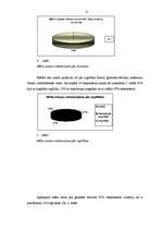 Referāts 'Jauniešu (16.- 18.) pašvērtējuma un viņu māšu attieksmju veidu sakarība', 21.