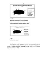 Referāts 'Jauniešu (16.- 18.) pašvērtējuma un viņu māšu attieksmju veidu sakarība', 23.