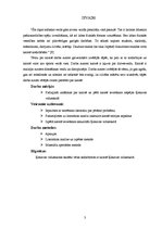 Referāts 'Karatē', 2.