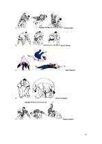 Referāts 'Džudo, tā vēsture. Kodokana', 25.