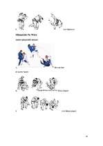 Referāts 'Džudo, tā vēsture. Kodokana', 26.