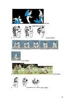 Referāts 'Džudo, tā vēsture. Kodokana', 27.