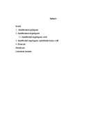 Referāts 'Akadēmiskais negodīgums', 1.