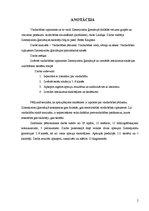 Referāts 'Vardarbības izpausmes Ziemeļvalstu ģimnāzijā dažādās vecuma grupās un veicamie p', 2.