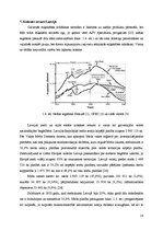 Referāts 'Literatūras apskats par etiķskābi un koksnes resursiem Latvijā', 14.