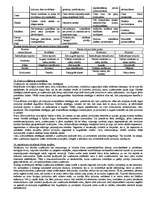 Konspekts 'Mārketings', 5.