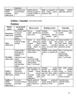 Prakses atskaite 'KVALIFIKĀCIJAS PRAKSE PIRMSSKOLĀ 3.posms', 15.
