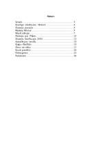 Referāts 'Multfilmas', 2.