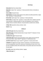 Referāts 'Personvārdu došanas tradīcijas: tradicionālais un modernais', 2.