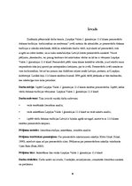 Referāts 'Personvārdu došanas tradīcijas: tradicionālais un modernais', 4.