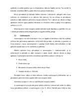 Referāts 'Transportlīdzekļi, kuri paredzēti starptautiskajiem kravu un pasažieru pārvadāju', 8.