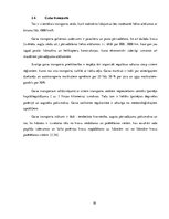 Referāts 'Transportlīdzekļi, kuri paredzēti starptautiskajiem kravu un pasažieru pārvadāju', 10.