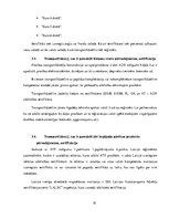 Referāts 'Transportlīdzekļi, kuri paredzēti starptautiskajiem kravu un pasažieru pārvadāju', 19.