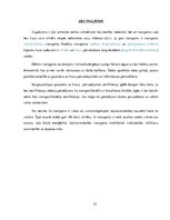 Referāts 'Transportlīdzekļi, kuri paredzēti starptautiskajiem kravu un pasažieru pārvadāju', 22.