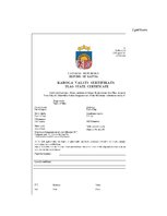 Referāts 'Transportlīdzekļi, kuri paredzēti starptautiskajiem kravu un pasažieru pārvadāju', 28.