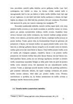 Diplomdarbs 'Tiesnešu tiesiskais stāvoklis', 73.