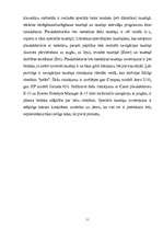 Referāts 'HP plaukstdatori', 11.