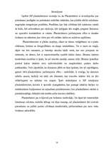 Referāts 'HP plaukstdatori', 18.