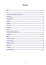 Referāts 'Datorizētā lietvedība', 2.