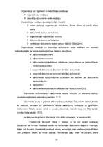 Referāts 'Datorizētā lietvedība', 10.