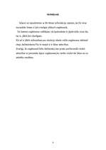 Referāts 'Cilvēku mijiedarbība saskarsmē', 9.