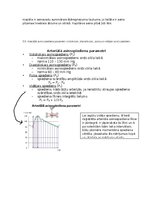 Konspekts 'Asinsrites sistēmas funkcionālās daļas, asinsvadu veidi, to galvenās funkcijas', 6.