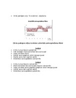 Konspekts 'Asinsrites sistēmas funkcionālās daļas, asinsvadu veidi, to galvenās funkcijas', 8.