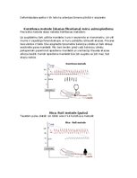 Konspekts 'Asinsrites sistēmas funkcionālās daļas, asinsvadu veidi, to galvenās funkcijas', 10.
