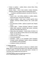 Prakses atskaite 'Prakses atskaite a/s "Swedbank"', 11.