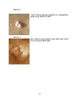 Referāts 'Dzīvība uz citām planētām', 23.