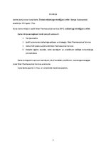 Referāts 'Firmas mārketinga stratēģijas izvēle', 3.