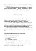 Referāts 'Firmas mārketinga stratēģijas izvēle', 7.