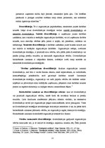 Referāts 'Firmas mārketinga stratēģijas izvēle', 13.