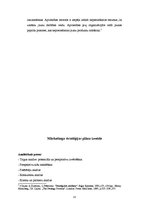 Referāts 'Firmas mārketinga stratēģijas izvēle', 15.