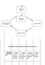 Referāts 'Firmas mārketinga stratēģijas izvēle', 17.