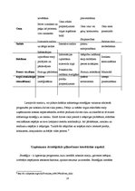 Referāts 'Firmas mārketinga stratēģijas izvēle', 18.