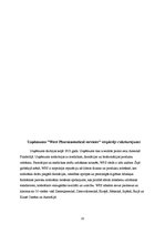 Referāts 'Firmas mārketinga stratēģijas izvēle', 20.