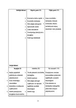 Referāts 'Firmas mārketinga stratēģijas izvēle', 22.