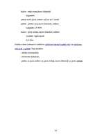 Prakses atskaite 'Lietvedības prakses atskaite', 13.