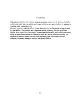 Prakses atskaite 'Lietvedības prakses atskaite', 27.