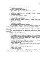 Referāts 'Peļņa un rentabilitāte', 12.