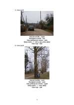 Referāts 'Pilsētvides ainavas kompleksa novērtējums', 7.