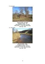 Referāts 'Pilsētvides ainavas kompleksa novērtējums', 10.